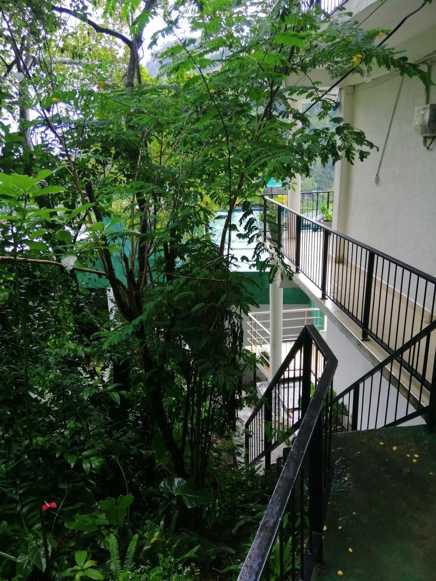 Apartmán Super View Ella Pokoj fotografie